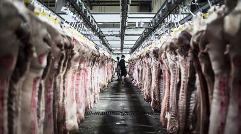 Brazil’s Pork exports in April failed to beat March’s record; live animals’ price up 8.4%