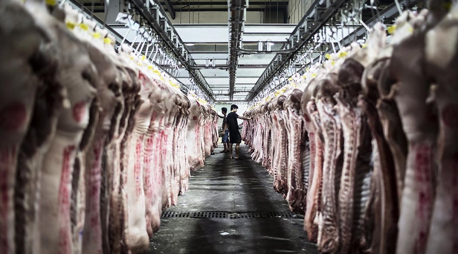 Brazil’s Pork exports in April failed to beat March’s record; live animals’ price up 8.4%