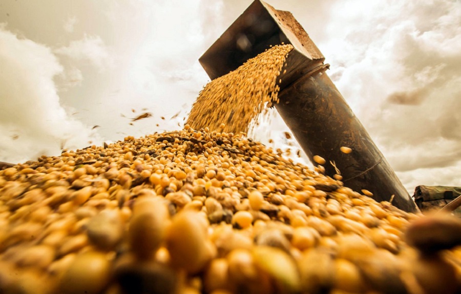 Brazil’s soybean exports remain high in first week of May; sugar down
