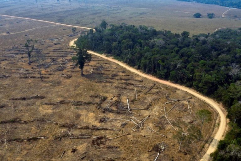 Deforestation: British and European supermarkets threaten to boycott Brazil