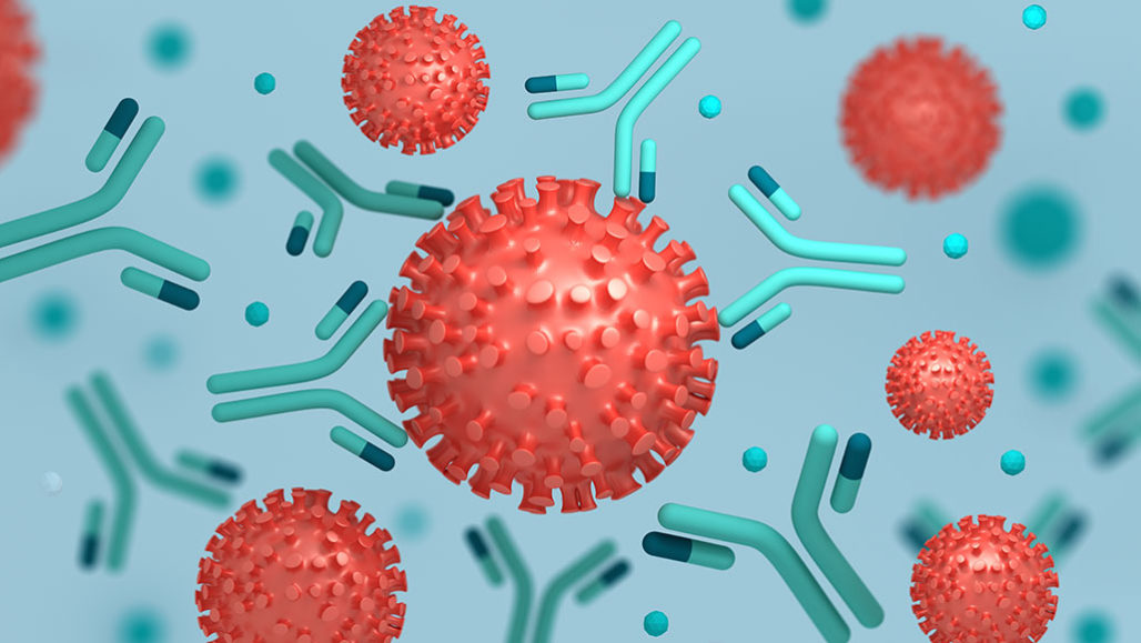 Covid antibodies. (Photo internet reproduction)