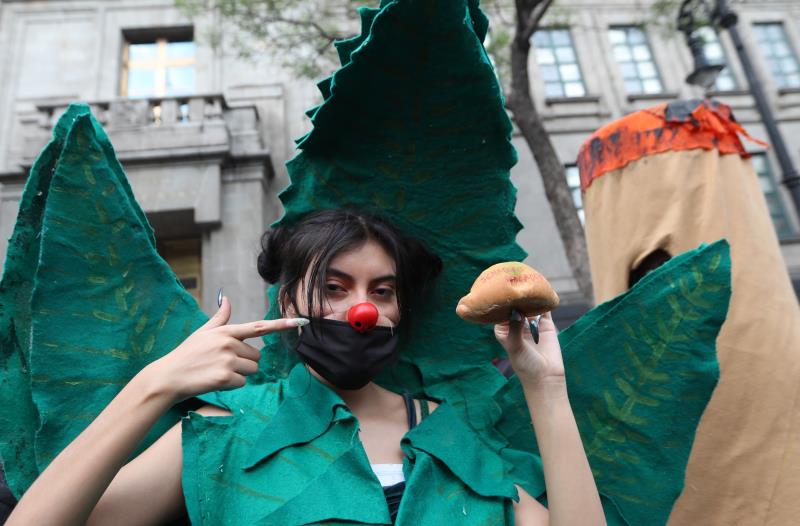 Mexico marijuahana