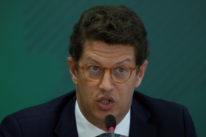 Brazil's Environment Minister investigated for illegal timber sales