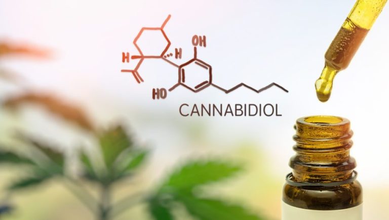 With ANVISA approval, new brand of cannabidiol reaches Brazilian pharmacies in July