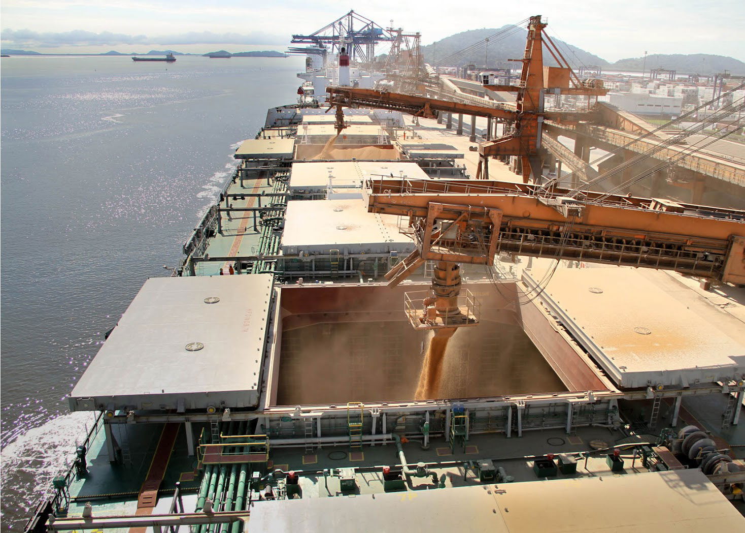 sao paulo exports