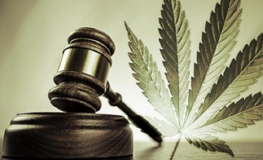 STF decision orders São Paulo state to supply cannabidiol medication to patients