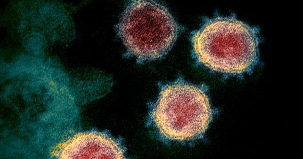 Brazil’s Paraná state confirms first case of Indian (“Delta”) variant coronavirus