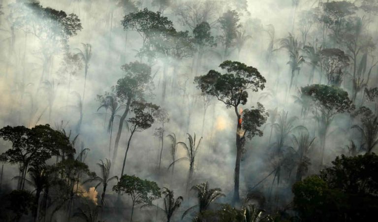 Suzano alerts to threat of more fires in the Amazon