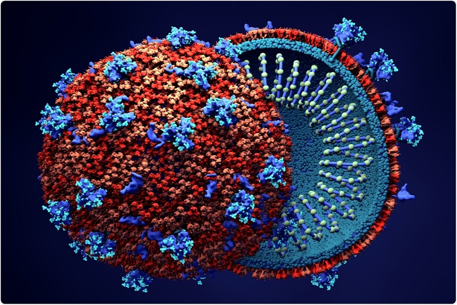 Sars-CoV-2 finds new path to infect human cells – University of Washington study