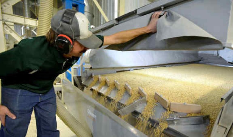 Argentina’s soy processing hits 6-year high in April