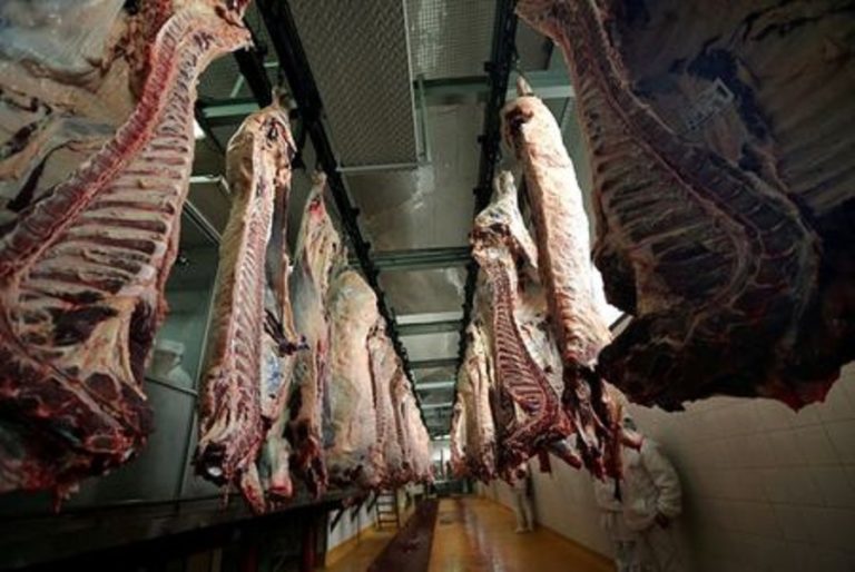 Brazilian beef exports down 18% in May