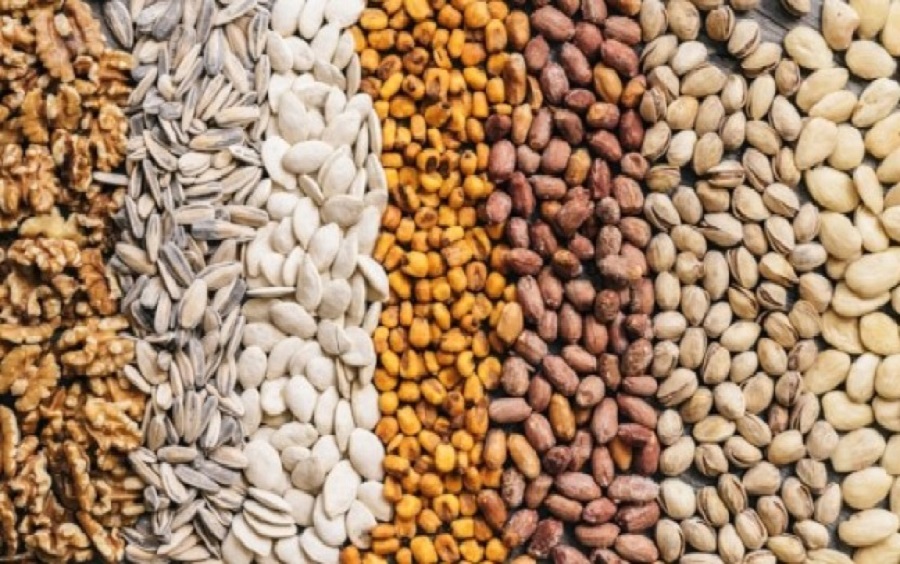 Brazil is the world’s 4th largest grain producer and 2nd largest grain exporter – EMBRAPA