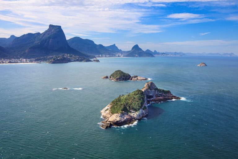 Green Sea Turtle habitat discovered off Rio de Janeiro’s Ipanema Beach