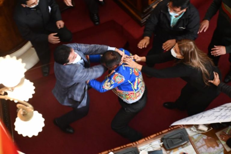 Insults and blows in the interpellation of a minister in the Bolivian Parliament