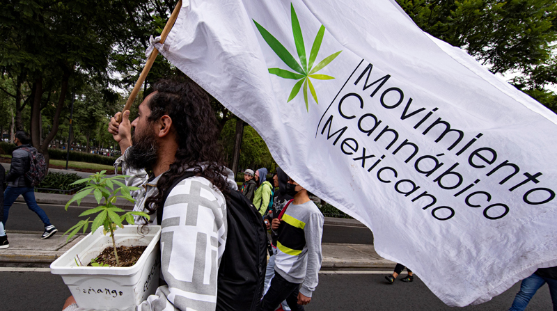 Mexico decriminalizes recreational marijuana consumption but not its commercialization