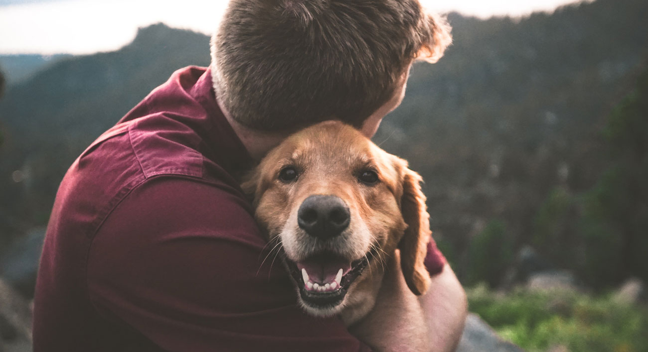 Petlove