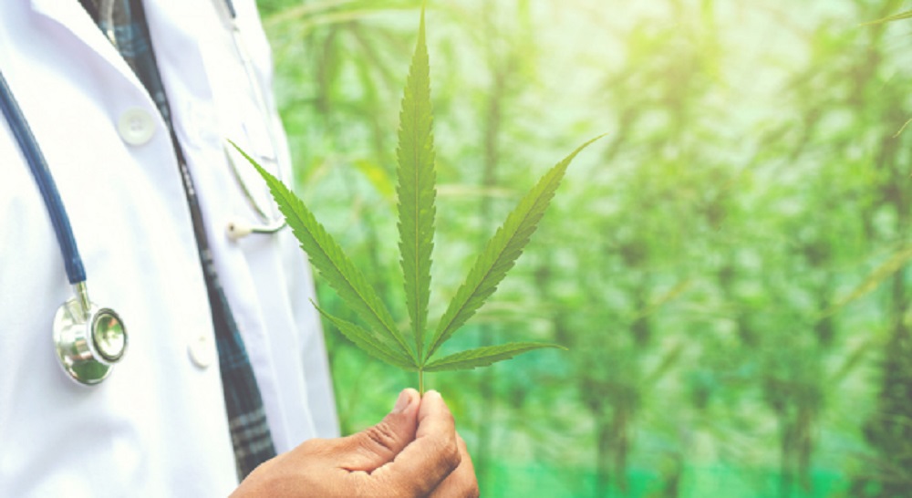 Cannabis accelerator wants startups watching Uruguay, which legislates outside the box