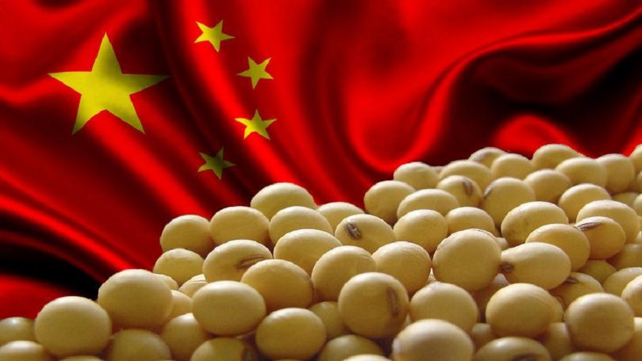 China’s soy production increases by almost half of Argentina’s and all of Paraguay’s in four harvests