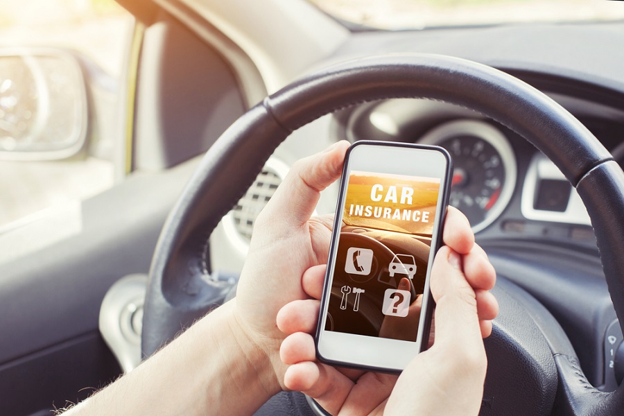 Darwin startup attracts US$2 million investment, seeks data to lower insurance costs in Brazil