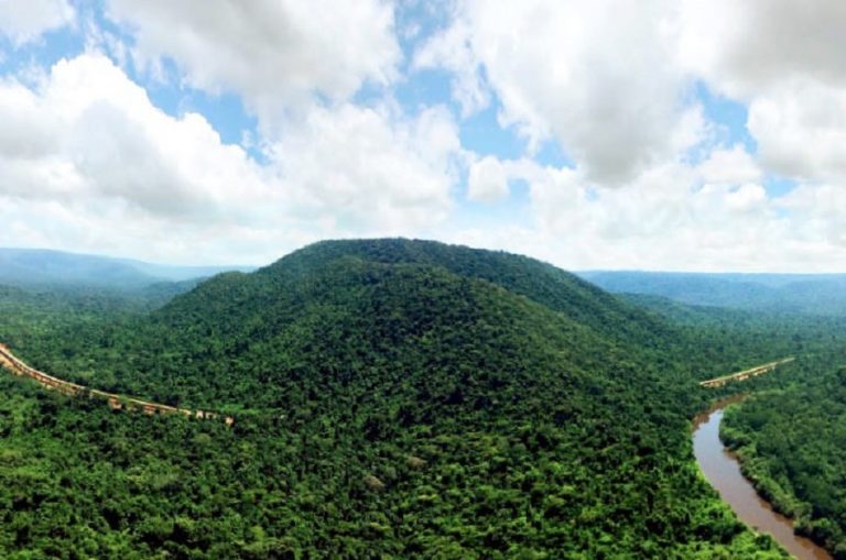 Vale’s partnership with Brazil government preserves 800,000 hectares in the Amazon
