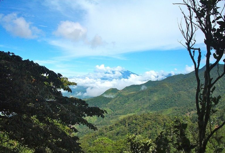 Panama, a country rich in forest cover but poor in environmental culture