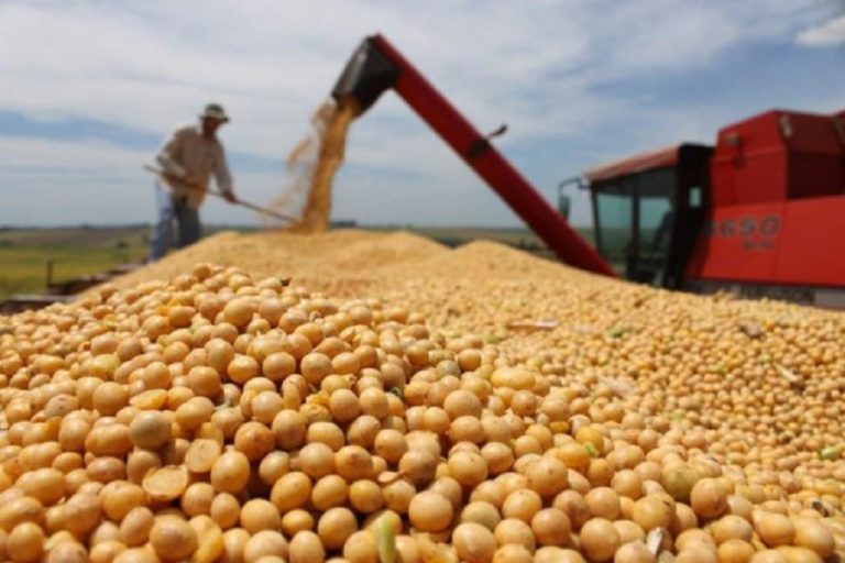 Argentine farmers post 23.7 million ton sales of 2020/21 soy
