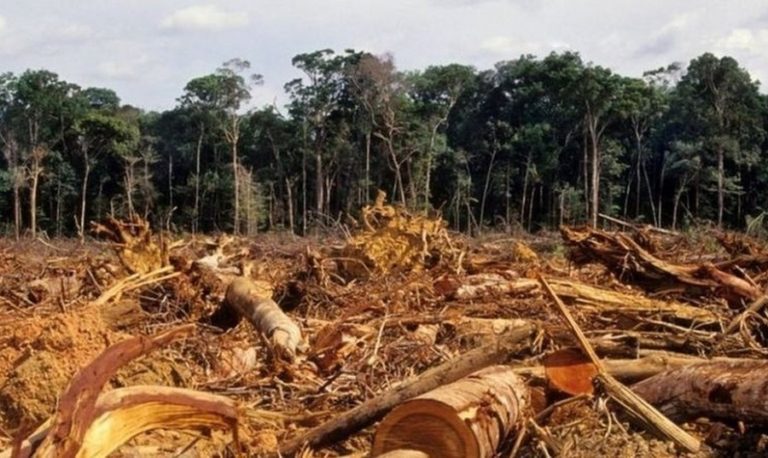 Brazil’s Armed Forces will operate in 26 municipalities to curb deforestation