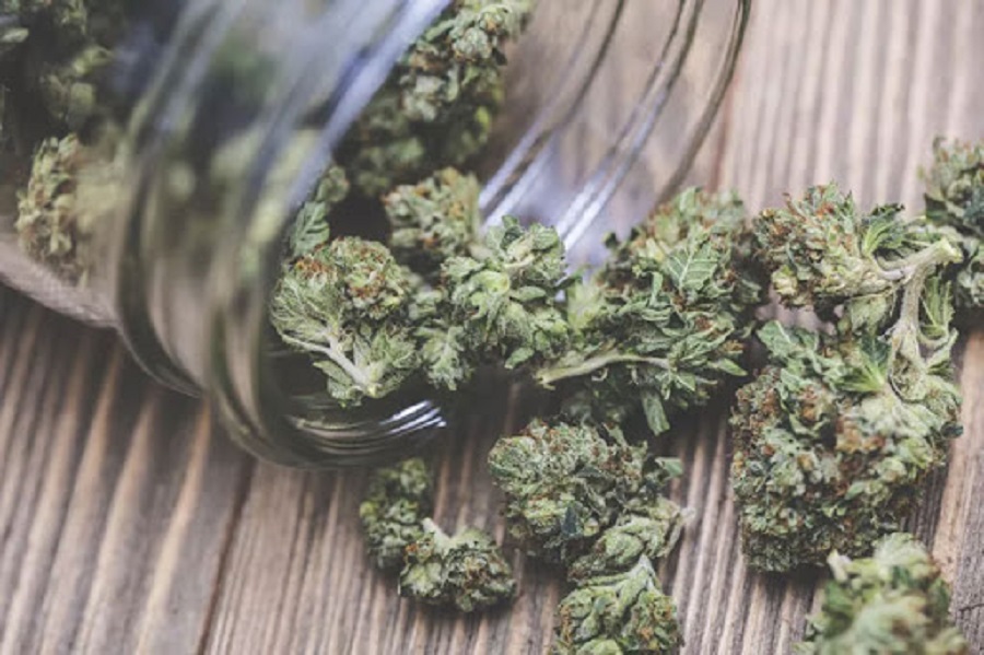 Latin America’s medical cannabis industry dreams big