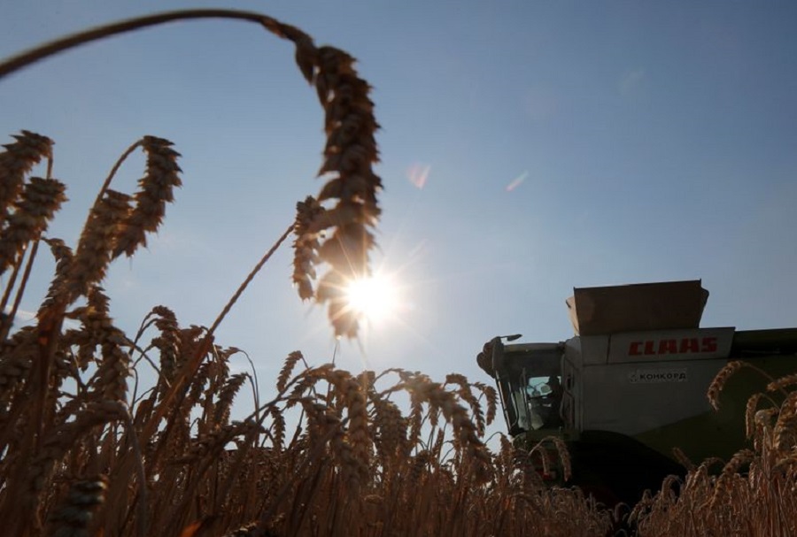 Brazil wheat planting in RS reaches 91% of acreage, above historical average