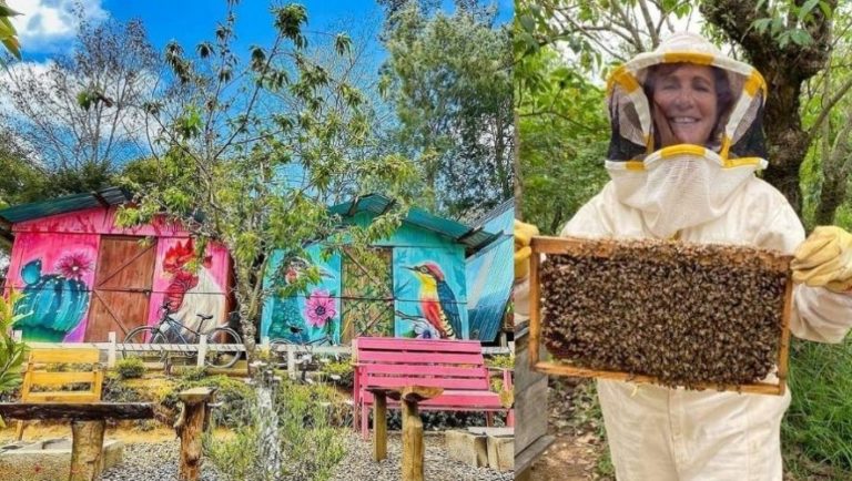 Guatemalan beekeeping survives despite climate crisis and threats