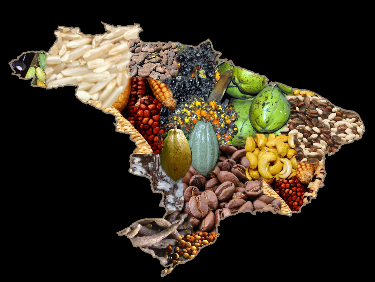 Brazilian agriculture registers 4th consecutive month with record exports. (Photo Internet reproduction)