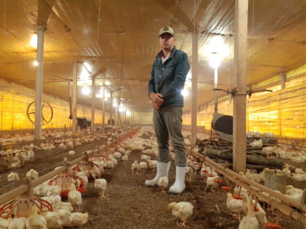 Chickenfarm