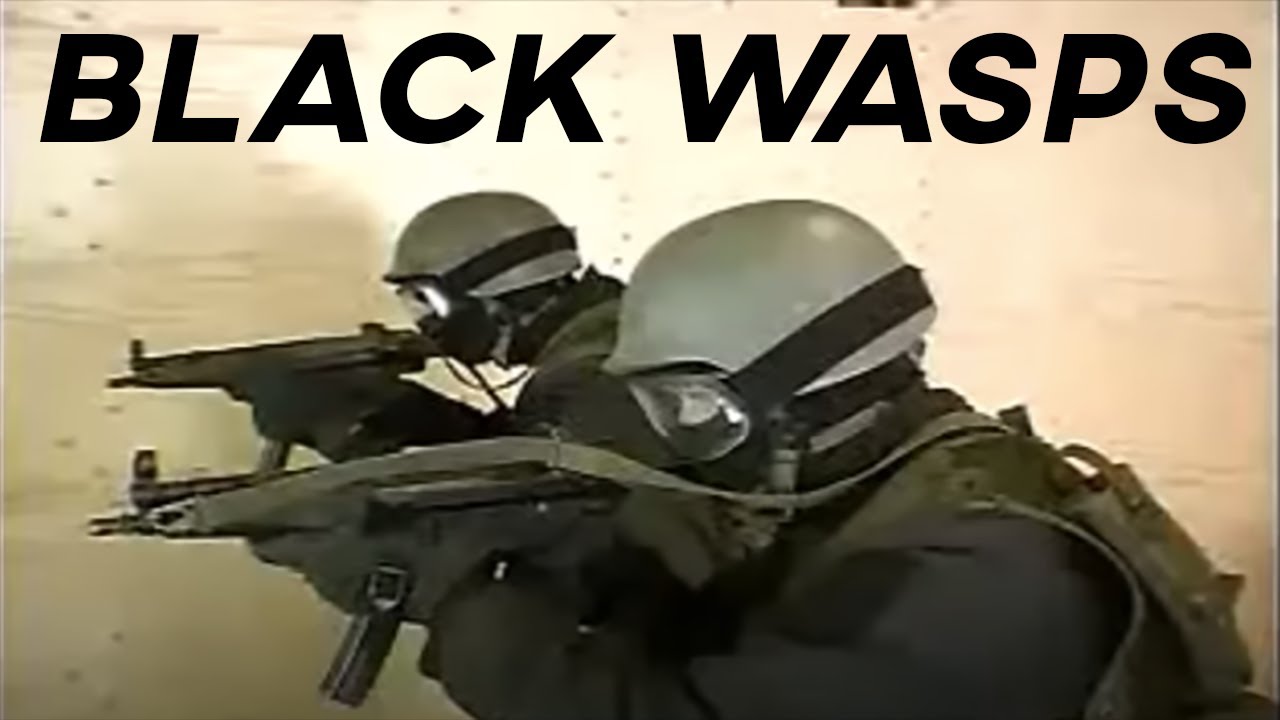 Cuba black wasps