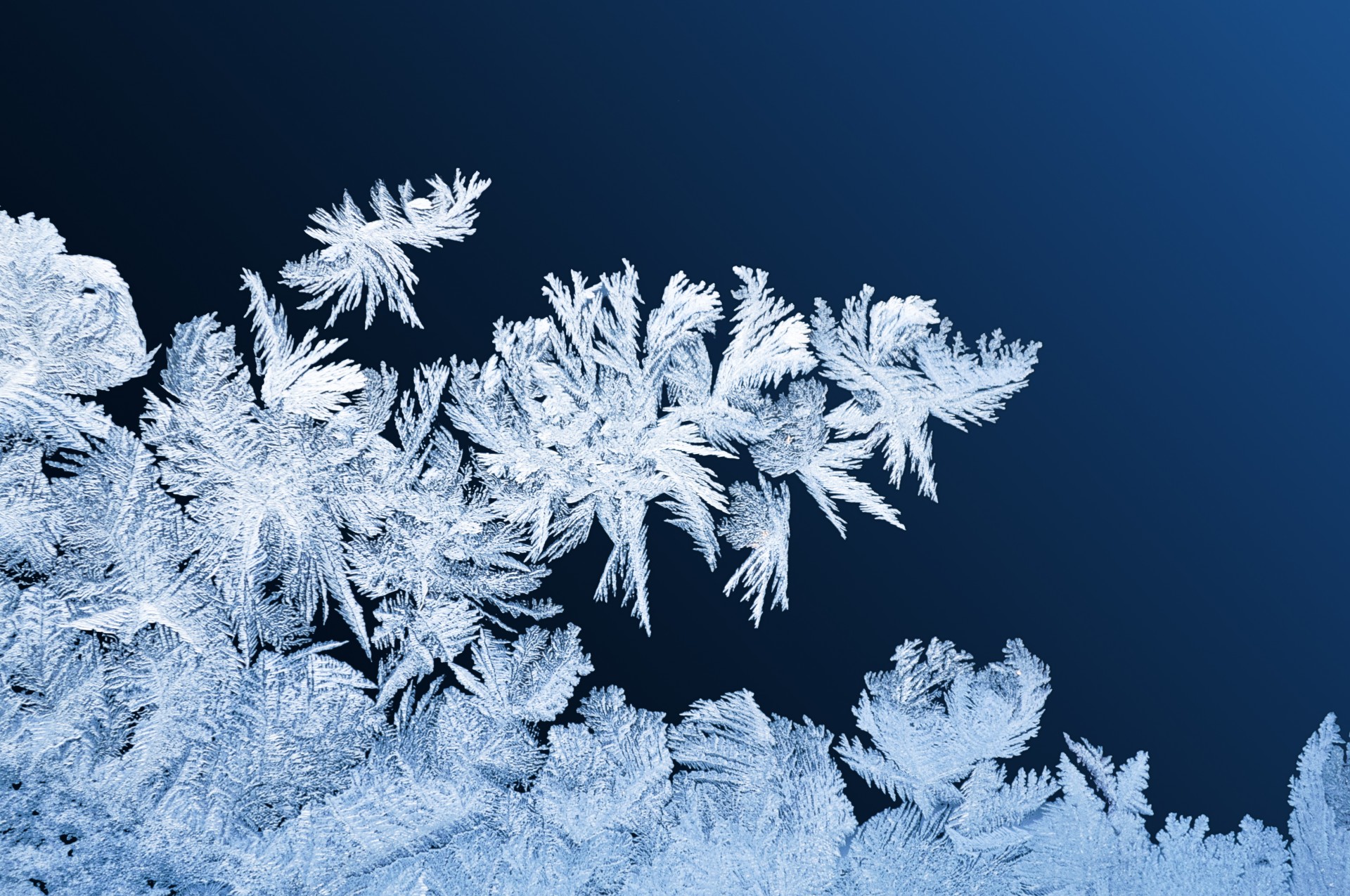 Frost