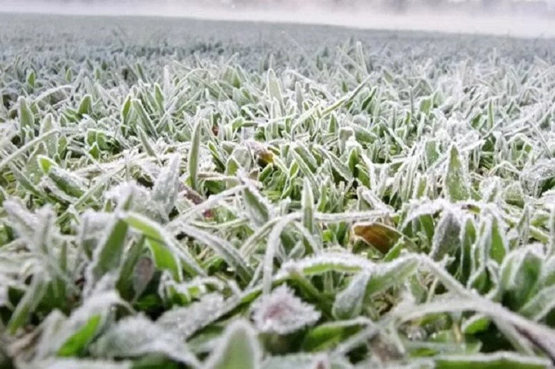 Frost
