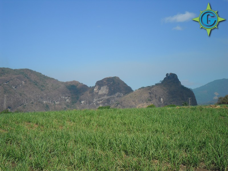 Guatemala sugar2