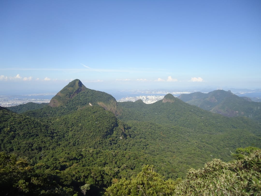 Tijuca National Park, Rio de Janeiro. (Photo internet reproduction)