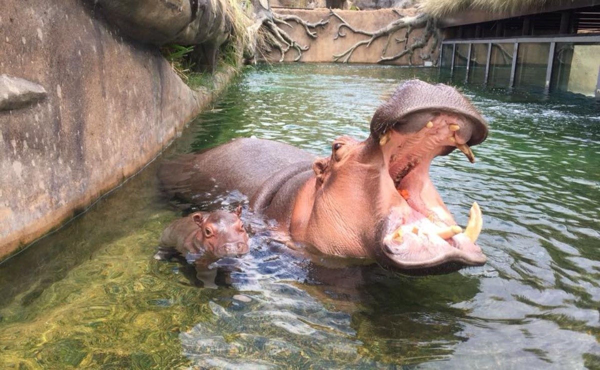 Mexico zoo2