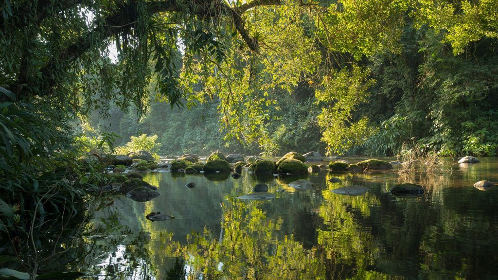 Sao Paulo state parks2