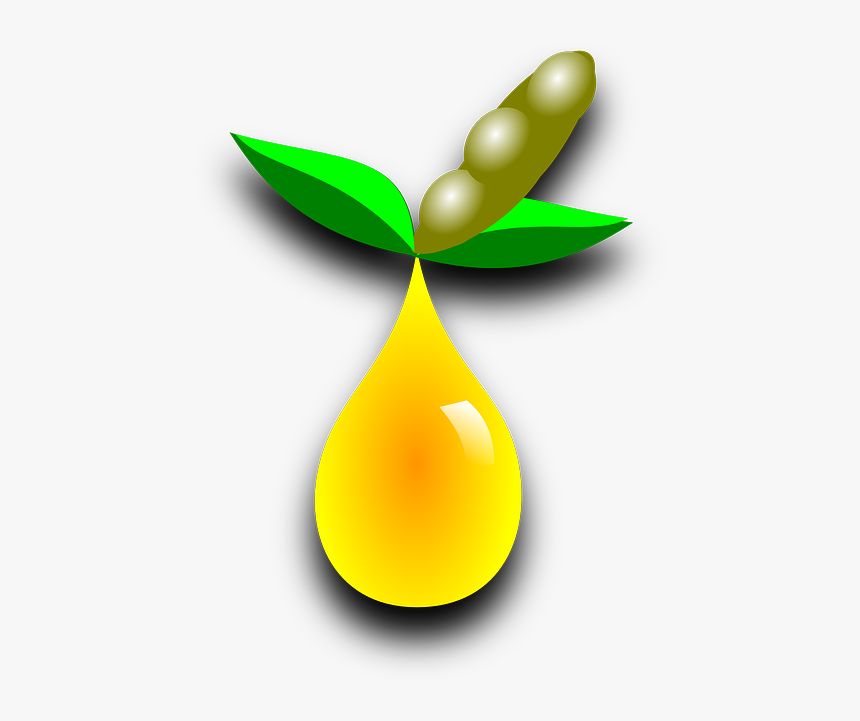 Soybean oil2
