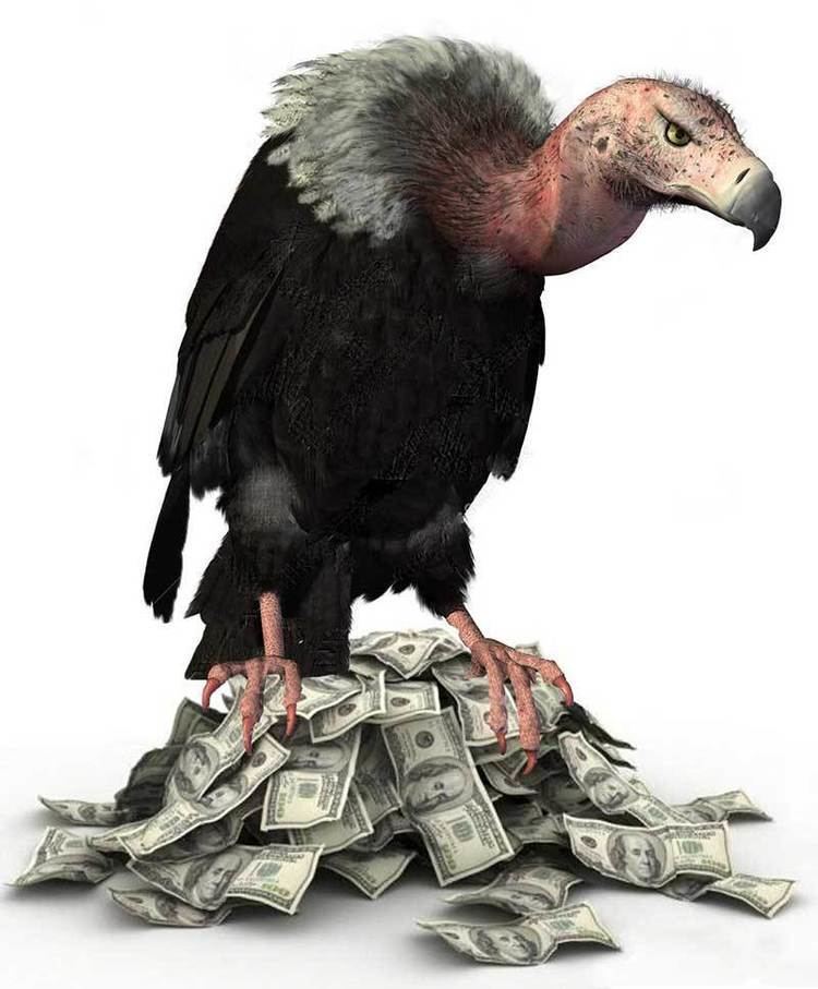 Vulture funds2