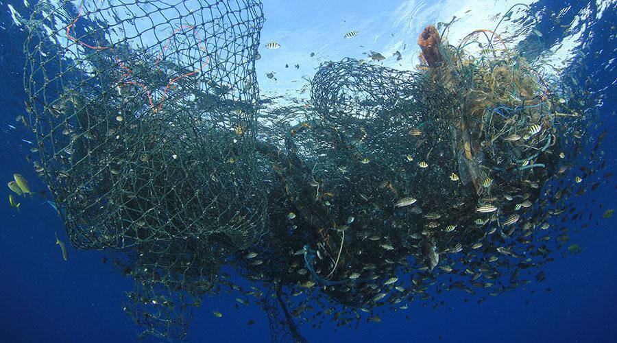 Harmful fishing practices. (Photo internet reproduction)