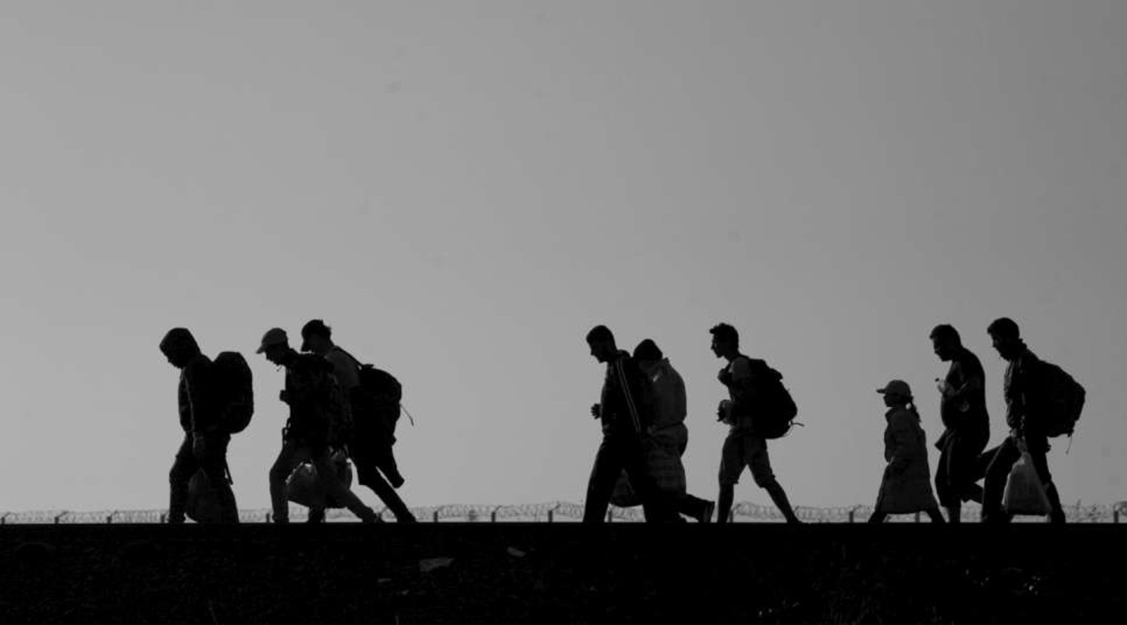 forced-displacement