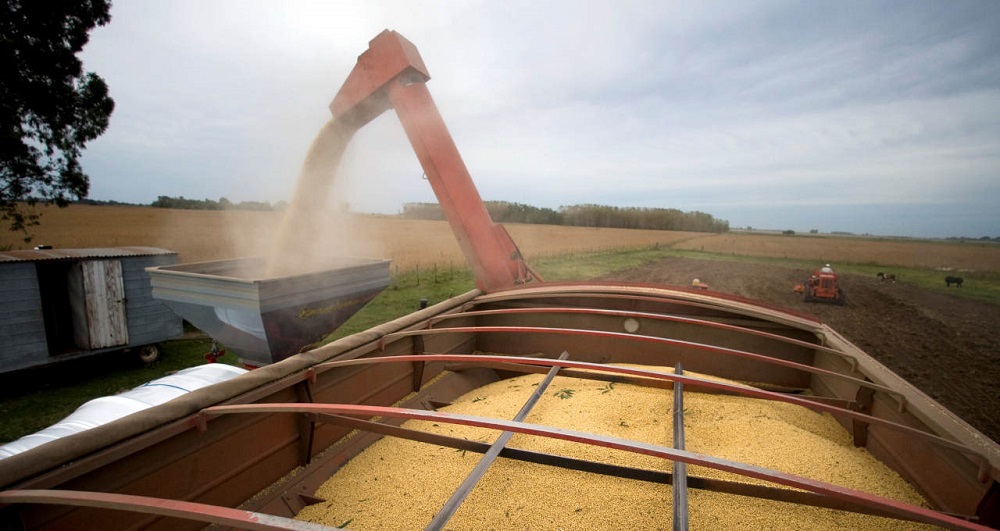 Brazil’s agribusiness exports total US$11.3 billion in July as prices rise – Ministry of Agriculture