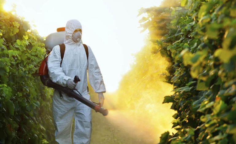 Illegal market accounts for 25% of pesticide supply in Brazil