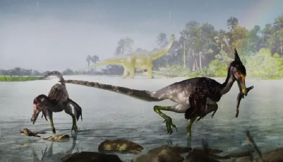 Researchers find new dinosaur species in Brazil