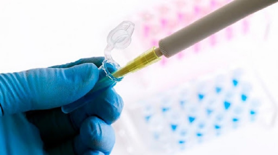 Argentine home-grown Covid vaccine to be tested in humans next year