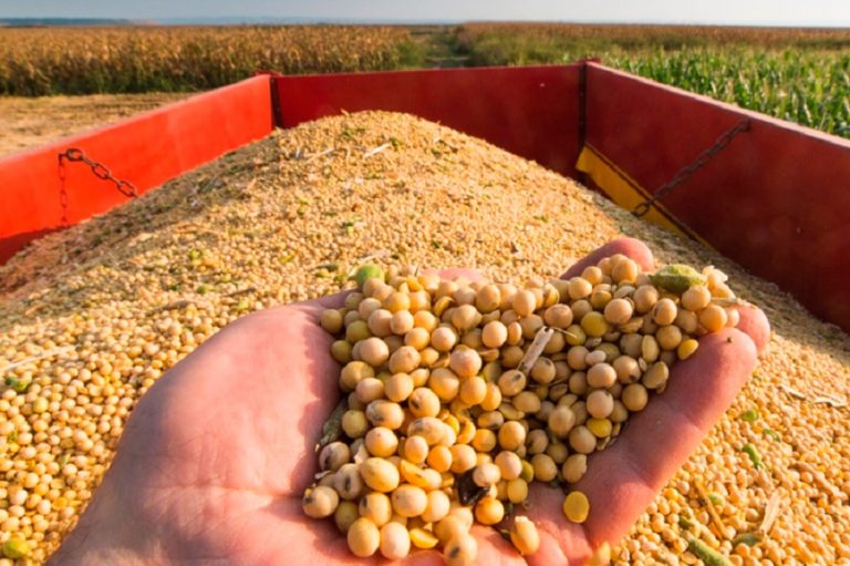 Argentina’s 2020/21 soy sales reach 27.3 million tons, government says