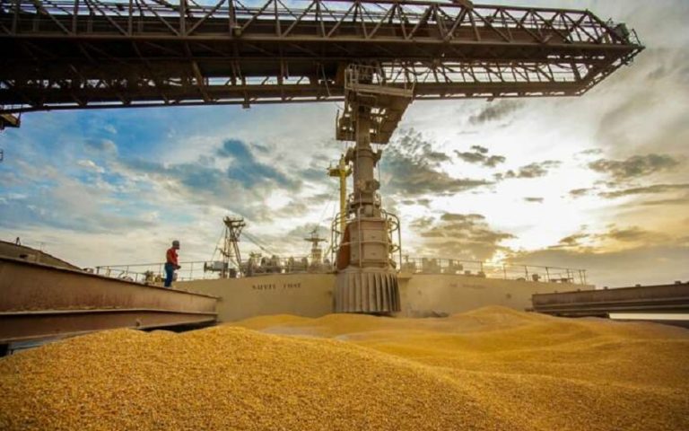 Brazil’s July agribusiness posted US$10.1 billion revenue increase over last year – IPEA