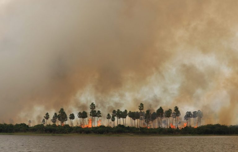 Paraguay registers close to 200 wildfires in the past 12 hours (August 26)